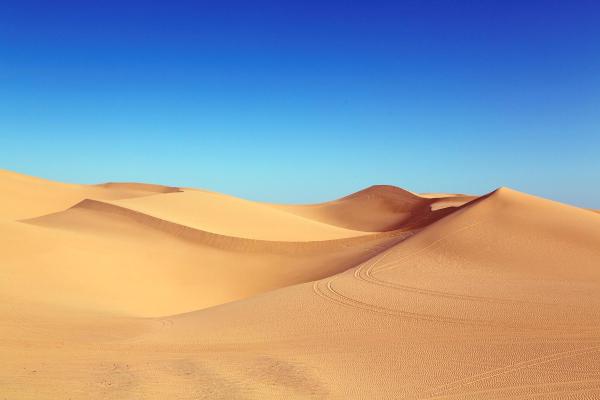 Lorem ipsum dolor sit amet